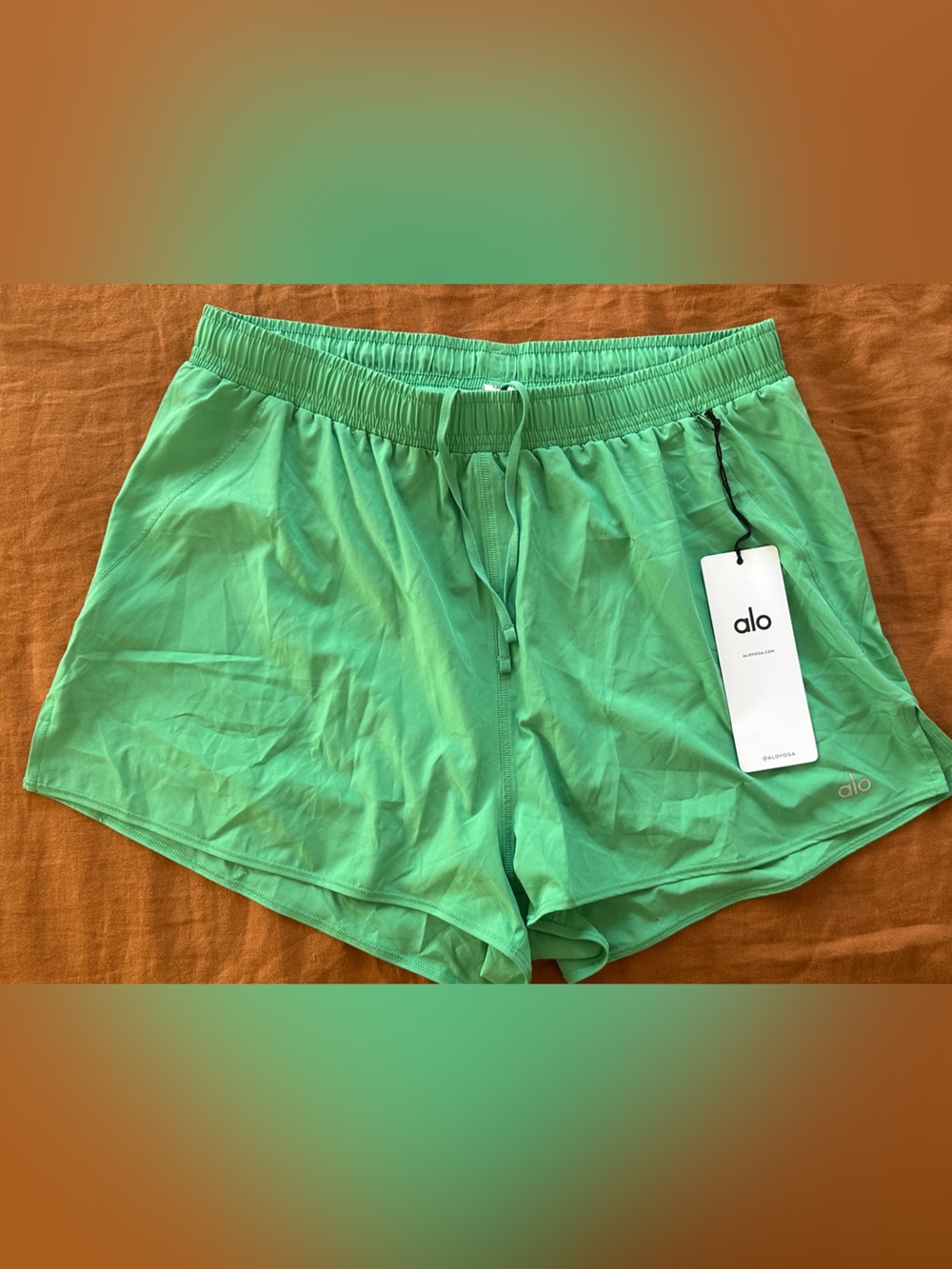 NWT ALO Stride Shorts!
